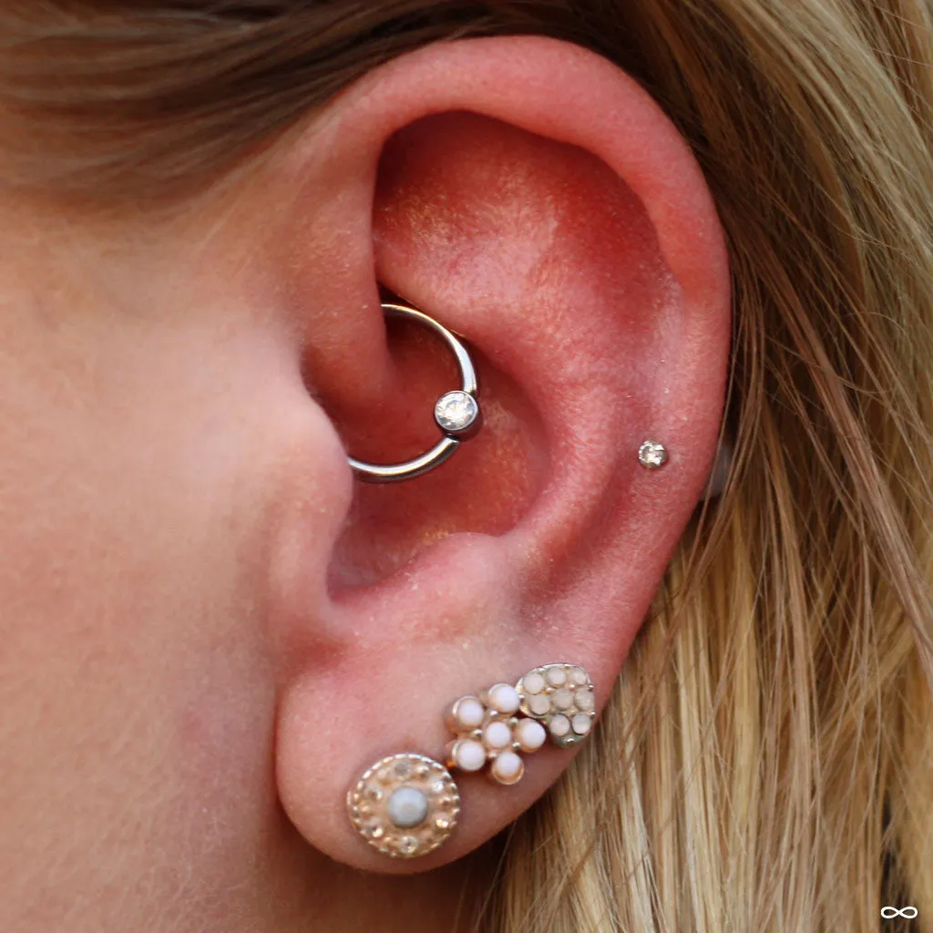 Captive Bead Ring from SM 316