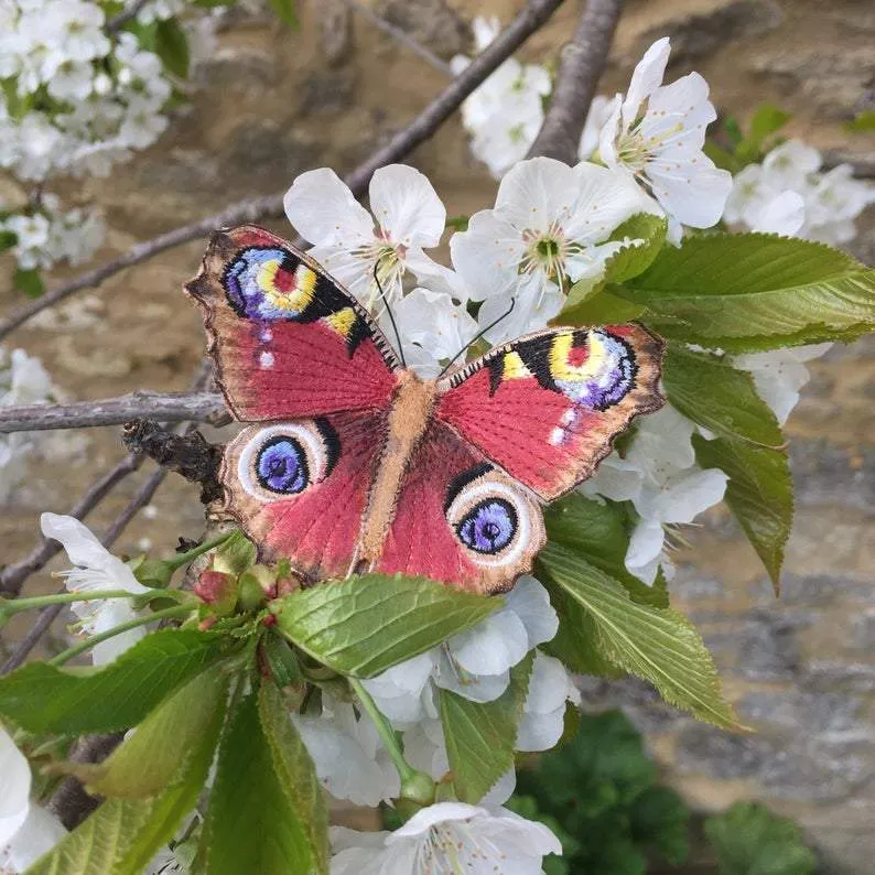 Peacock Butterfly Brooch