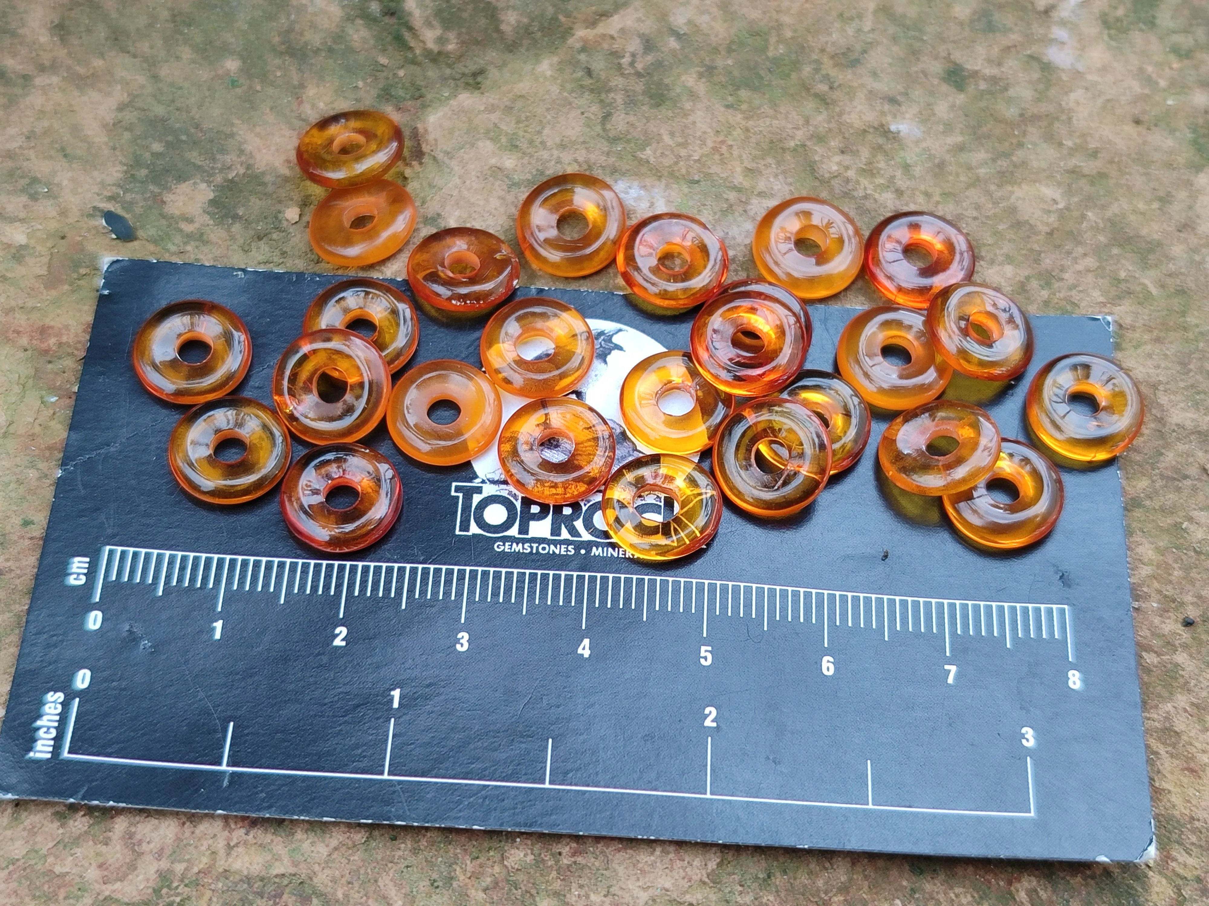 Polished Box of Fossilized Baltic Amber Donut Rings for Pendants x 39 From Poland